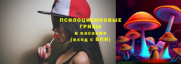 бутират Богородицк