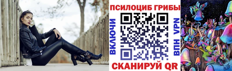 Галлюциногенные грибы Cubensis  Купить закладки  Прохладный 