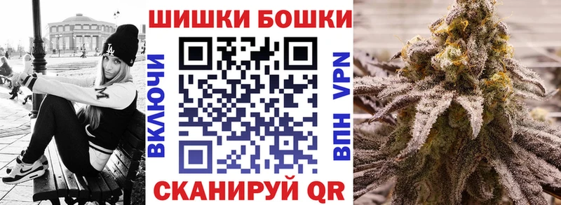 Купить  Прохладный  Бошки марихуана план 